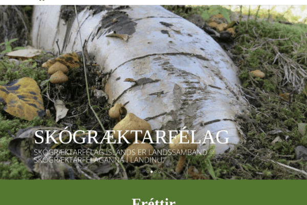 Skog